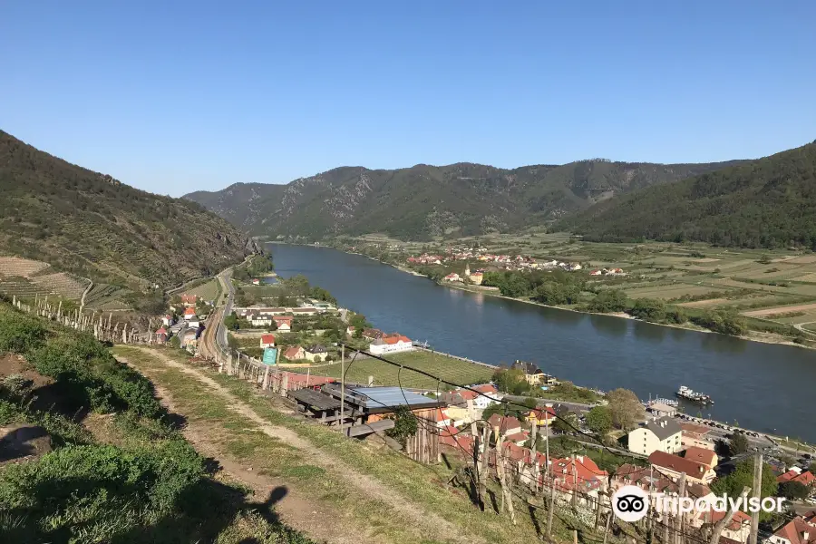 Segway Wachau