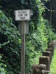 Radnor Trail