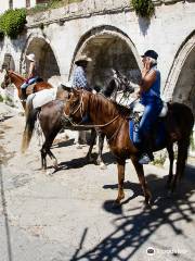Akhal Teke Horse Riding Center Cappadocia
