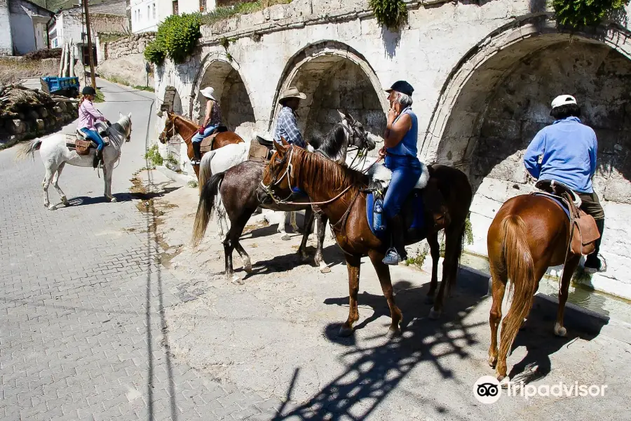 Akhal Teke Horse Riding Center Cappadocia