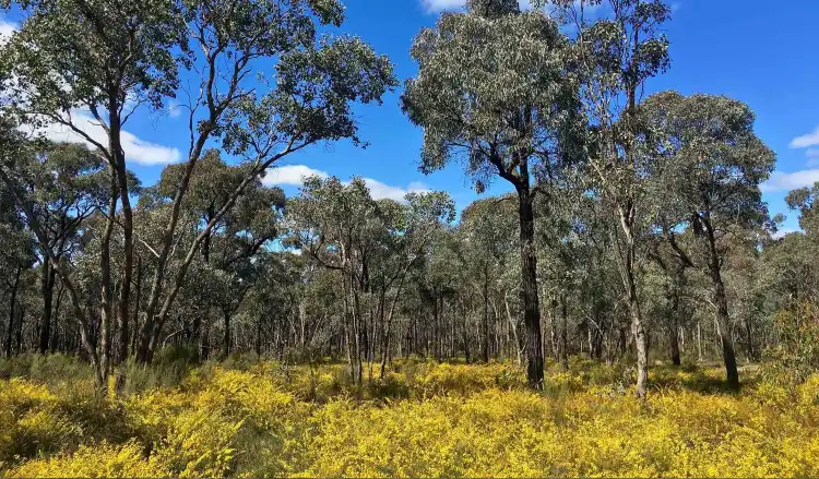 Bridgewater on Loddon