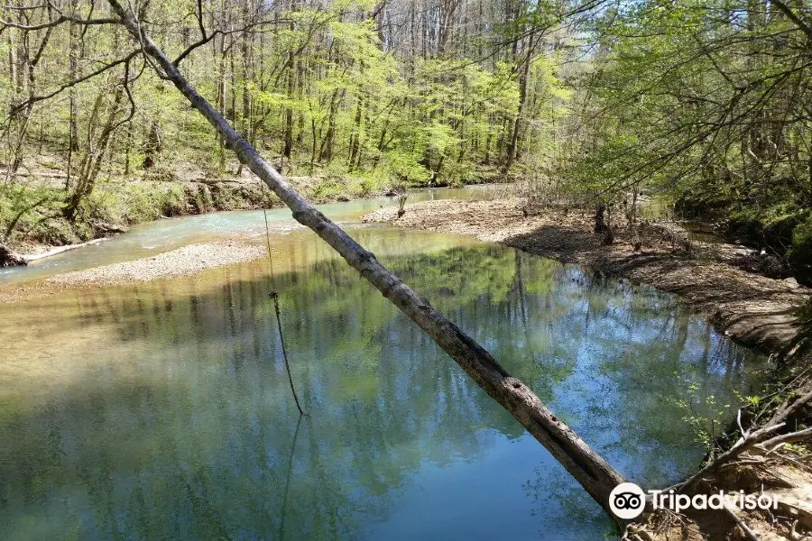 Sipsey Wilderness