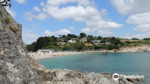 Swanpool Beach