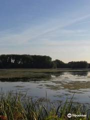 Kinewell Lake