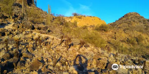 West Wing Mountain Preserve