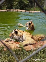 Mbidi Resort & Animal Sanctuary