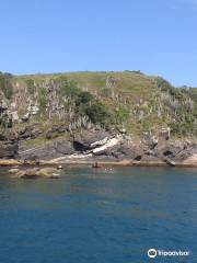 Redonda Island