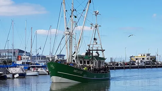 Krabbenfischen mit der MK Moewe