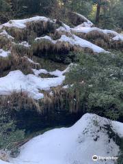 Shimla Water Catchment Wildlife Sanctuary