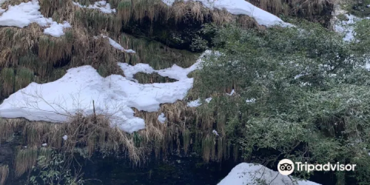 Shimla Water Catchment Wildlife Sanctuary