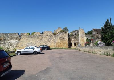 Ruines de l'ancien château