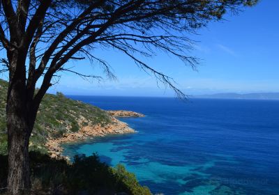 Spiaggia delle Caldane