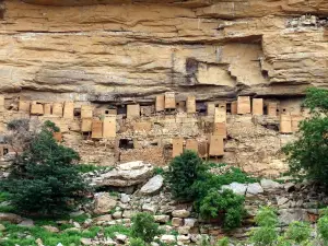 Bandiagara Cliffs (Dogon Country)