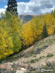 Leadville Railroad