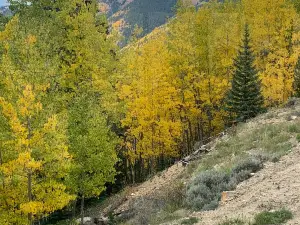 Leadville Railroad