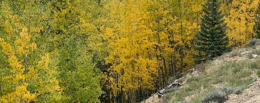 Leadville Railroad