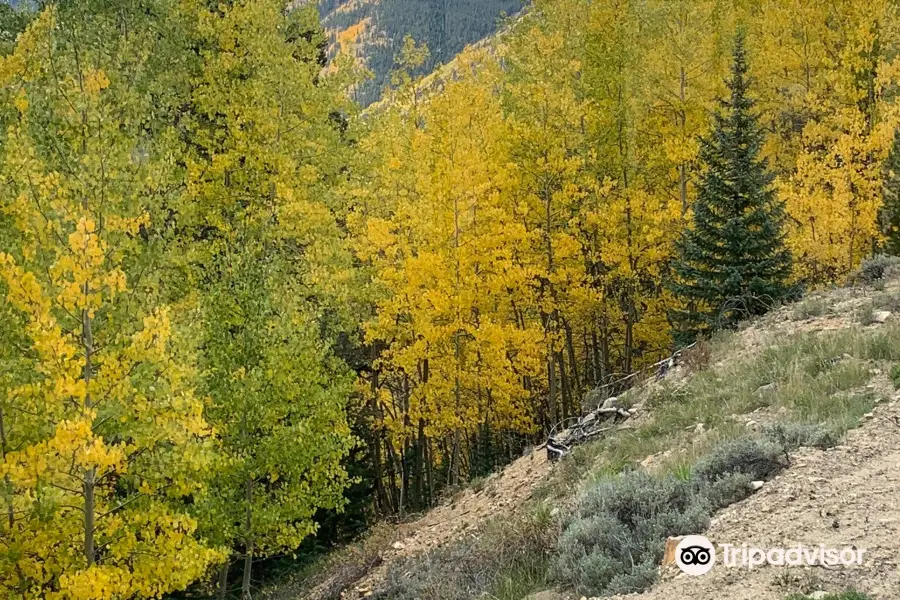 Leadville Railroad