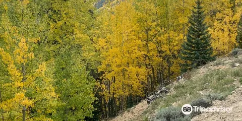 Leadville, Colorado & Southern Railroad