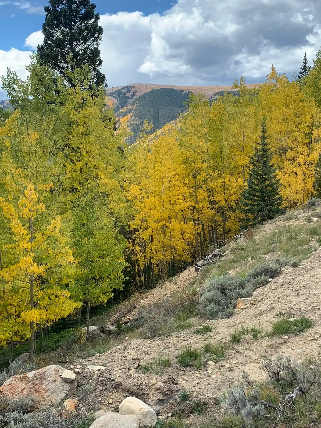 Hotels near Leadville Railroad