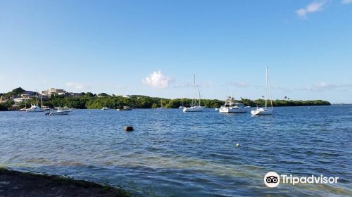 Las Croabas Lagoon