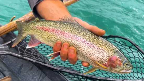 Kenai River Float-n-Fish