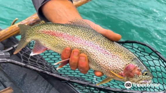 Kenai River Float-n-Fish