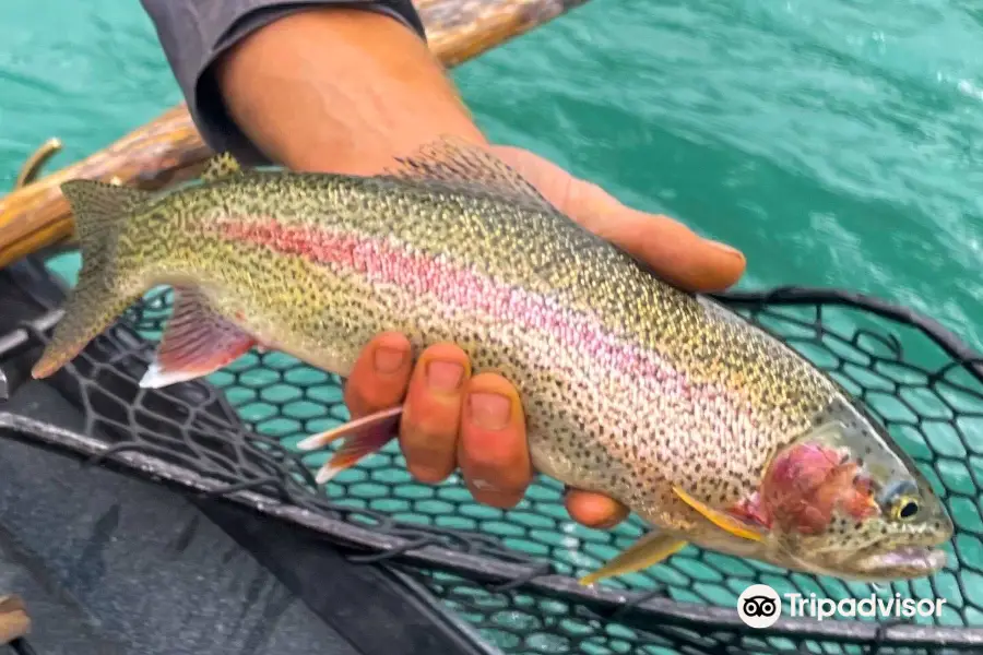 Kenai River Float-n-Fish