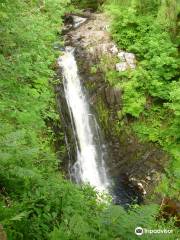 Glenashdale Falls