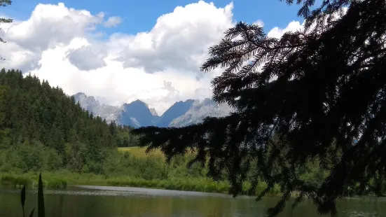 Waldbad Gieringer Weiher