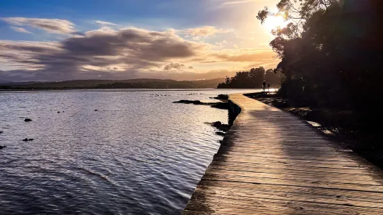 Merimbula Boardwalk