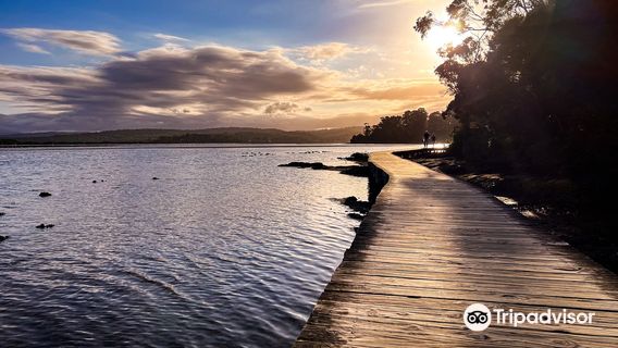 Merimbula Boardwalk