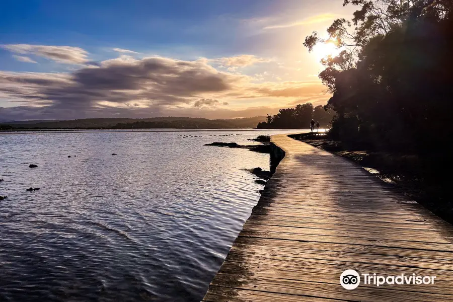 Merimbula Boardwalk