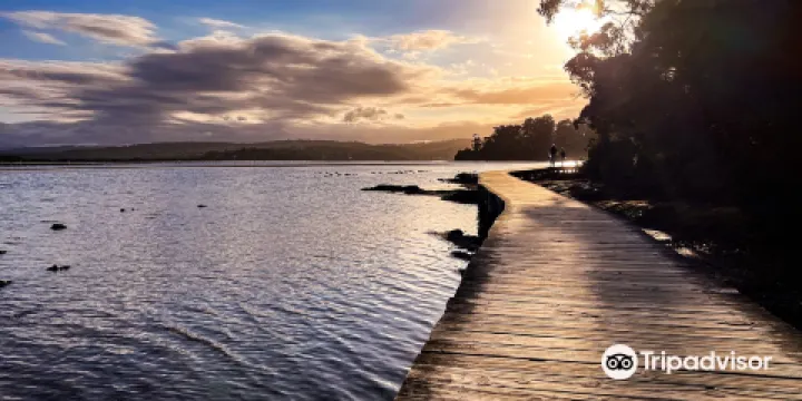 The Merimbula Boardwalk
