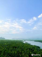 Crow's Nest Natural Area Preserve