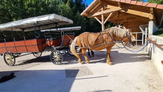 Les calèches du Saut du Doubs