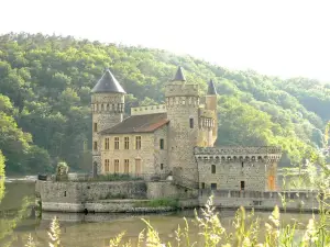 Castle of the Roche