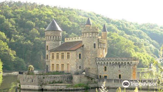 Castle of the Roche