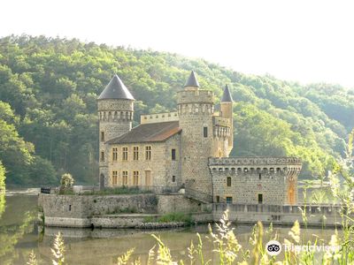 Castle of the Roche
