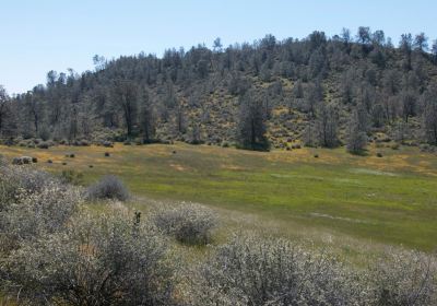 Red Hills Recreational Management Area