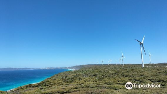 Albany Wind Farm