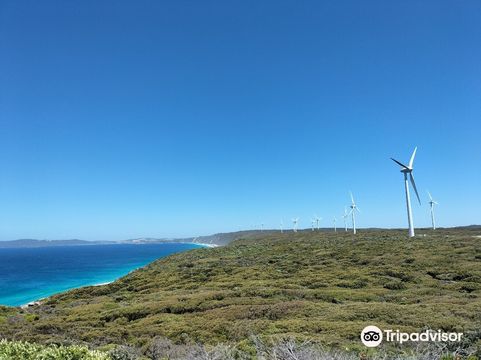 Albany Wind Farm