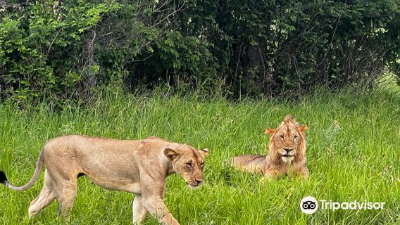 Saadani National Park
