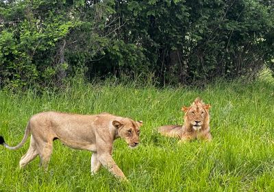 Saadani National Park