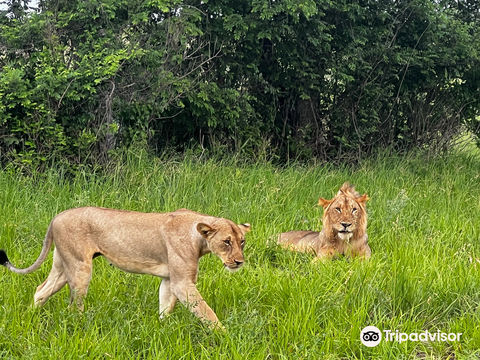Saadani National Park