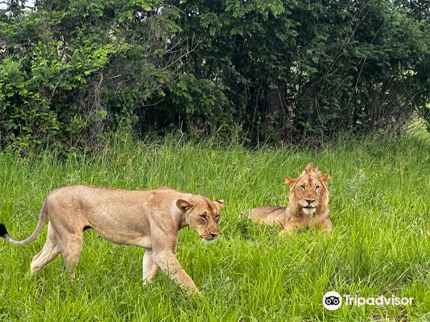 Saadani National Park