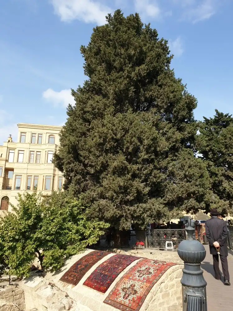 Hotels near OPEN-AIR MUSEUM ACIO SaMA ALTINDA MUZEY
