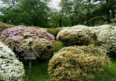 千秋公園