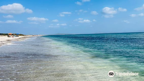 Stabilimento Balneare I Fenicotteri