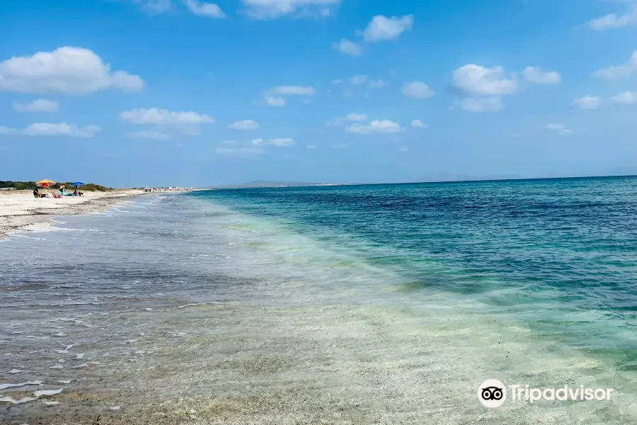 Stabilimento Balneare I Fenicotteri