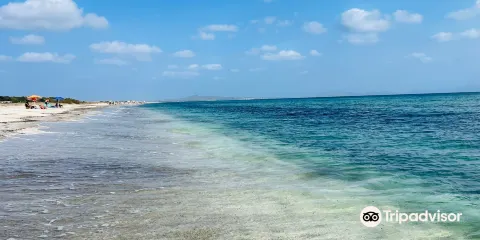 Stabilimento Balneare I Fenicotteri